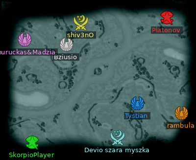 Minimap