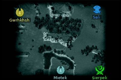 Minimap