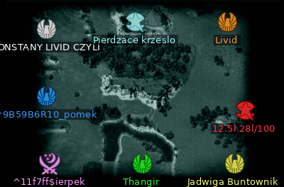 Minimap