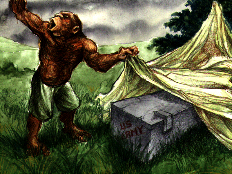 Ape